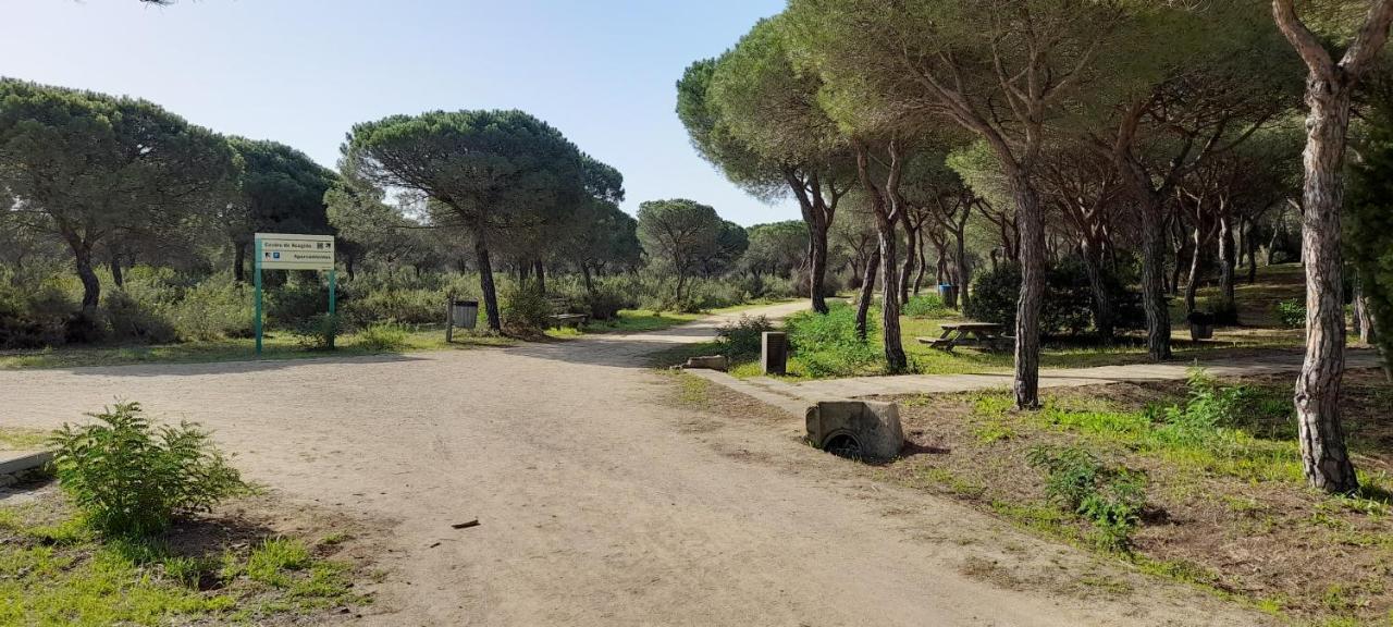 Playa Y Naturaleza Matalascañas Exteriör bild